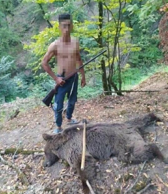 متهم به شکار یک قلاده خرس در جنگل رامیان دستگیر شد 