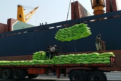ثبت رکورد تخلیه روزانه 4 هزار تن برنج وارداتی از کشتی در بندر بوشهر