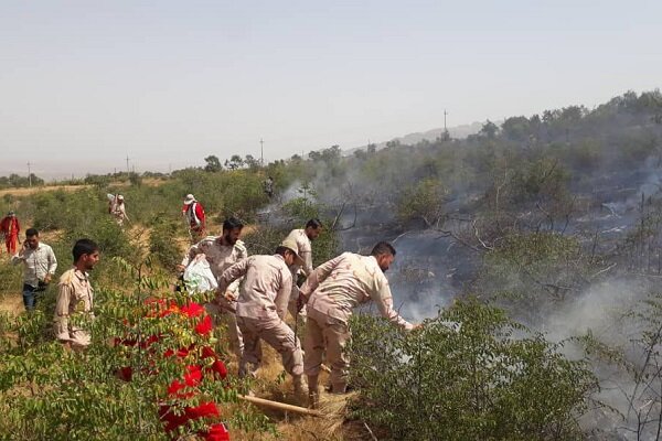مورد حادی از آتش‌سوزی مراتع در استان زنجان گزارش نشده است