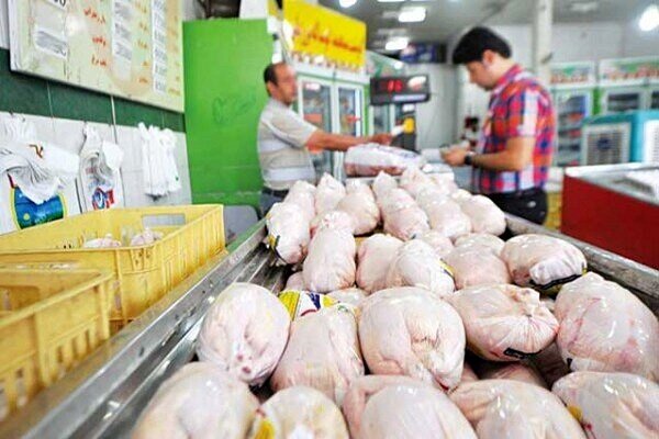 روزانه ۲۰ تن مرغ منجمد در بازار کرمانشاه توزیع می‌شود