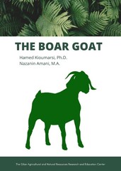 Boer Goat