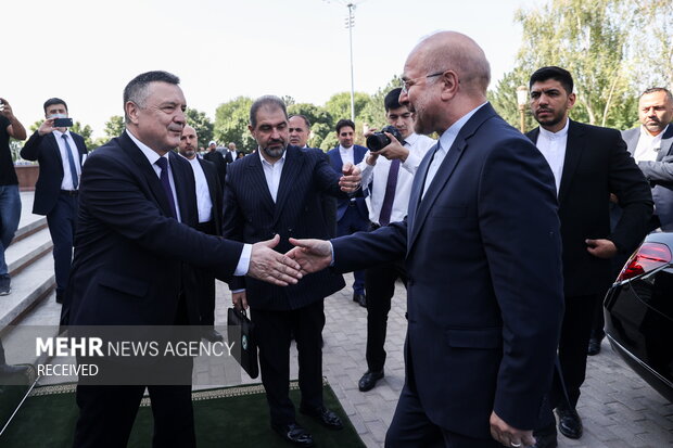 دیدار محمدباقر قالیباف با رؤسای سنا و مجلس قانون گذاری ازبکستان