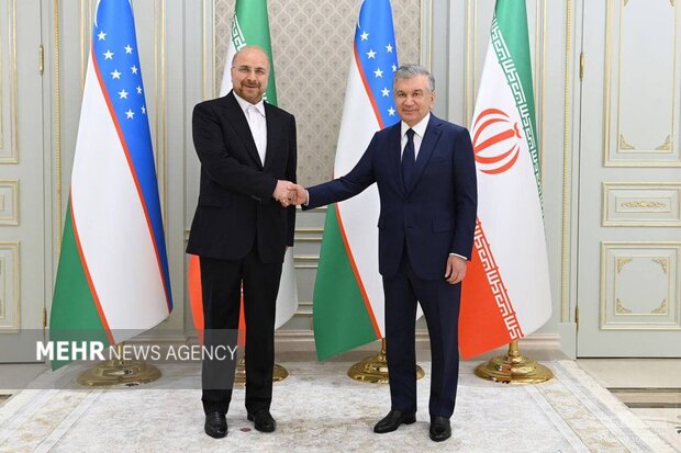 Iran parl. speaker meets Uzbek President in Tashkent