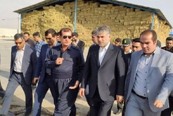 وزیر جهاد کشاورزی از دامپروری شیری یک هزار راسی روانسر بازدید کرد