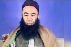 طالبان قتل رئیس علمای سلفی در کابل را تایید کرد