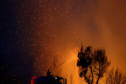 آتش به جان جنگلهای اروپا افتاده است
