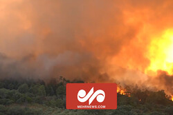تصاویری از آتش سوزی مهیب در جنگل‌های اسپانیا