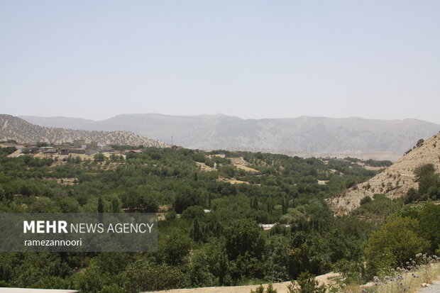 تابستان در دل زاگرس؛ روایت شکوفایی گردشگری بومی در «میشخاص»