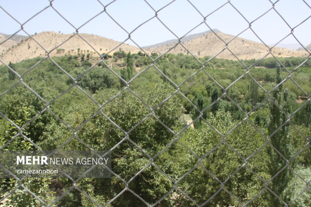 روستای میشخاص ایلام