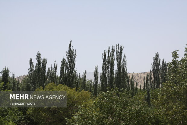 روستای میشخاص ایلام