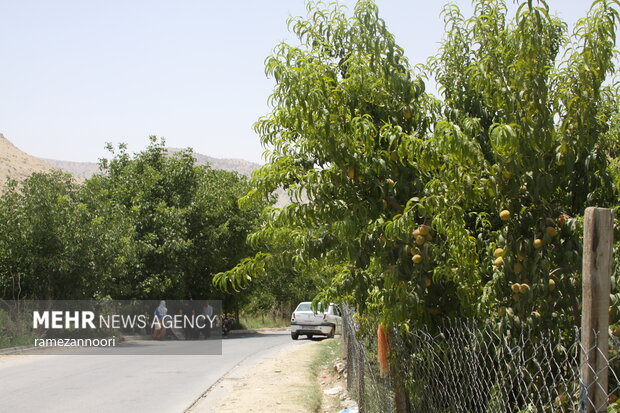 روستای میشخاص ایلام