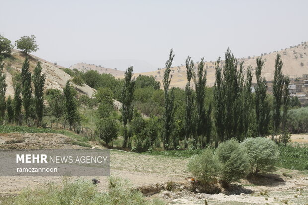 روستای میشخاص ایلام