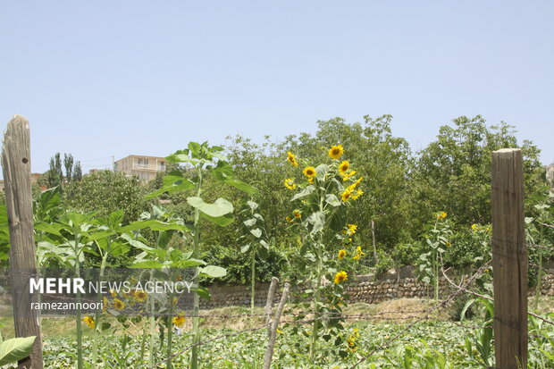 روستای میشخاص ایلام