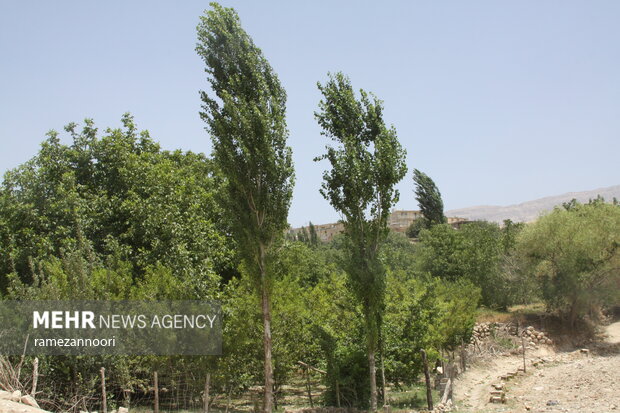 روستای میشخاص ایلام