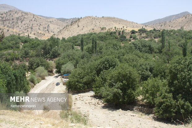 روستای میشخاص ایلام