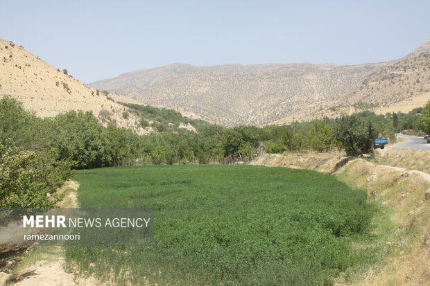 روستای میشخاص ایلام