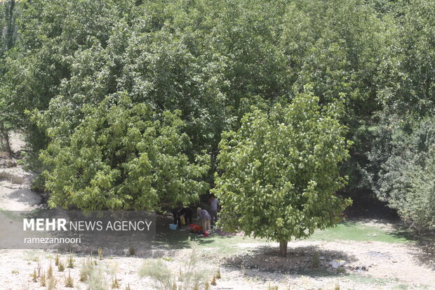 روستای میشخاص ایلام