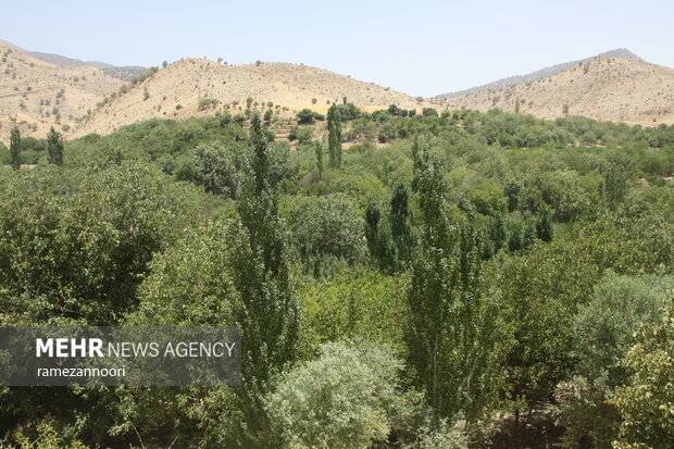 روستای میشخاص ایلام