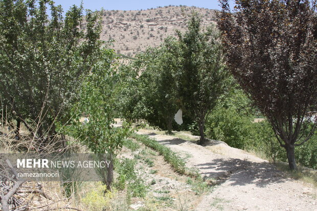 روستای میشخاص ایلام