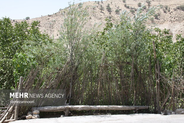 روستای میشخاص ایلام