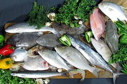 قیمت انواع ماهی شنبه ۲۵ تیرماه ۱۴۰۱