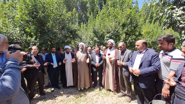 ساوجبلاغ قطب تولید میوههای هستهدار کشور است