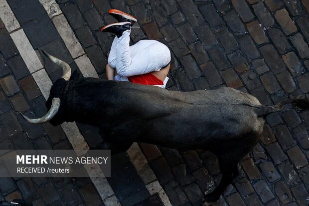 تصاویر منتخب هفته