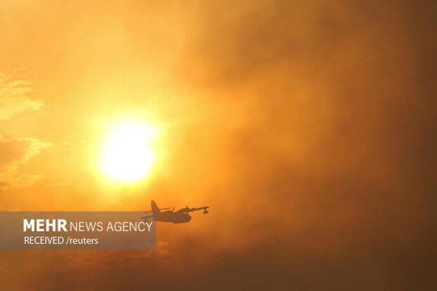 تصاویر منتخب هفته