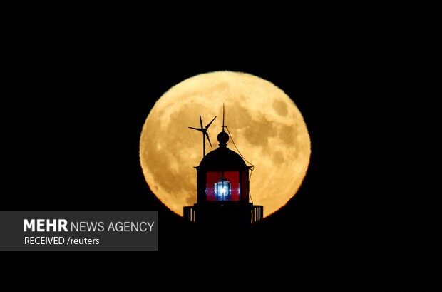 تصاویر منتخب هفته