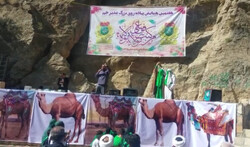 برگزاری جشن غدیر در بوانات