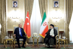 رئیس‌جمهور ترکیه با رئیسی دیدار و گفتگو کرد