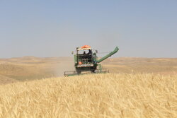 ماشین‌آلات کشاورزی خوزستان باید از حالت سنتی خارج شود