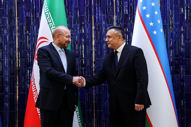 مروری بر سفرهای خارجی قالیباف/ نسخه پارلمانی برای ایرانِ پرهمسایه