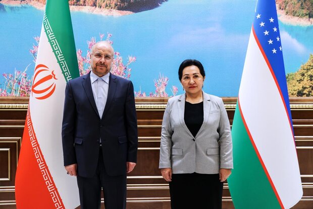 مروری بر سفرهای خارجی قالیباف/ نسخه پارلمانی برای ایرانِ پرهمسایه