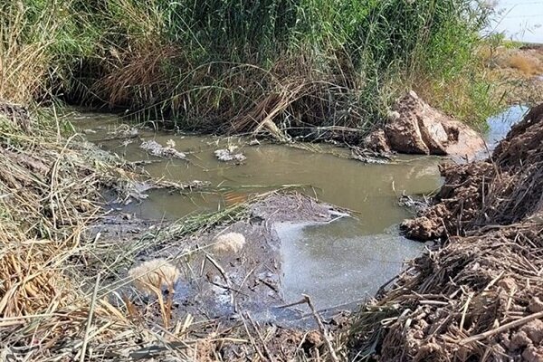 آبیاری برخی مزارع آذربایجان غربی با پساب/دستگاه قضا ورود کند