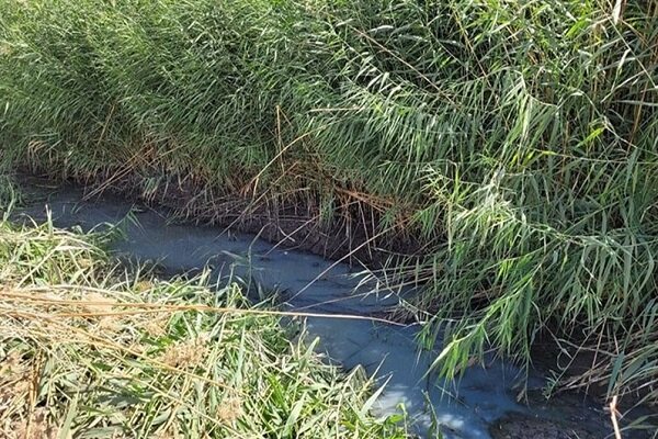 آبیاری برخی مزارع آذربایجان غربی با پساب/دستگاه قضا ورود کند