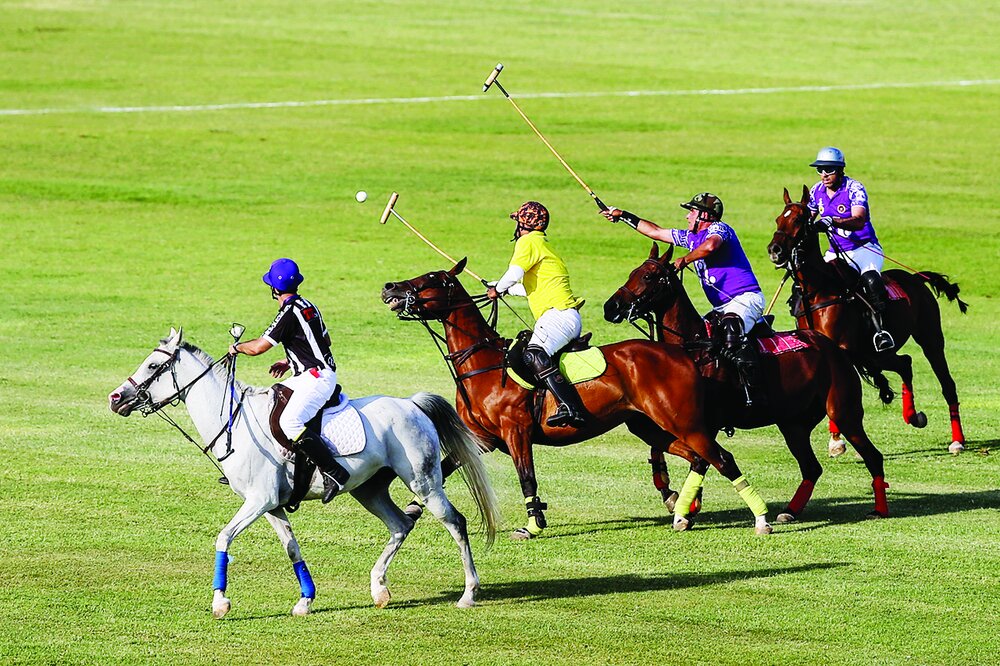 Polo tournament held in Tehran