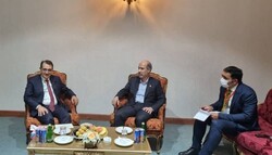 Iran, Turkey energy ministers call for boosting mutual ties