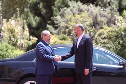 İran ve Suriye dışişleri bakanlarının görüşmesinden fotoğraflar