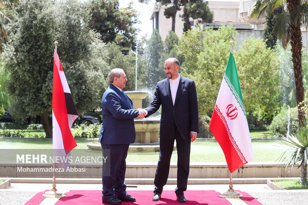 ایران اور شام کے وزرائے خارجہ کی تہران میں ملاقات
