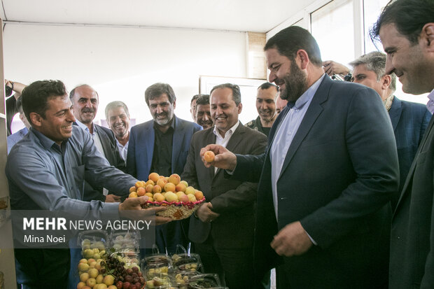 دومین جشنواره زردآلو در شهرستان مرند