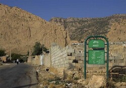 سروده بانوی کرندغربی در رسای مظلومیت روستای شیمیایی شده زرده
