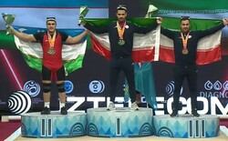 Alireza Moeini