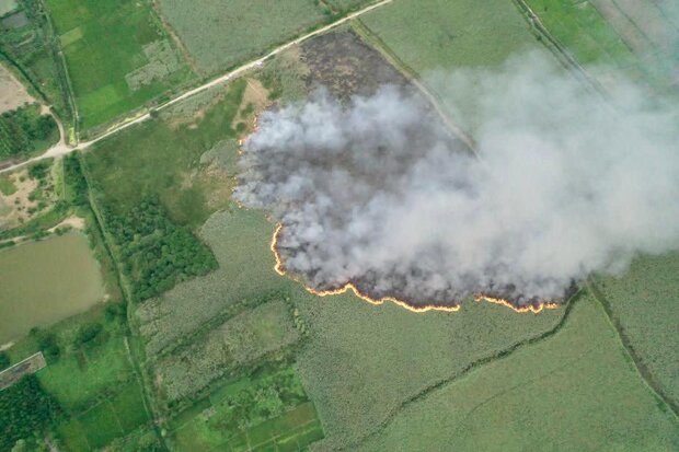 سوختن جنگل ها در سایه غفلت از اقدامات پیشگیرانه