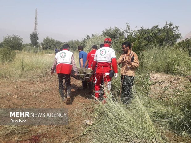 Search continues for missing in Fars province flood