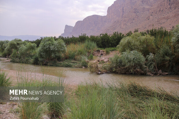 داغ سیل بر دل مردم  فارس/ بازهم غافلگیری! داغ سیل بر دل مردم  فارس/ بازهم غافلگیری!