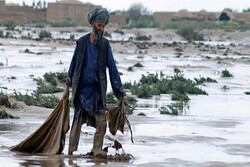 شاهراه کابل- جلال آباد بسته شد/ ۱۳ نفر کشته و ۲۰ تَن زخمی شدند