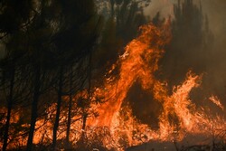 Fransa’da yangınlar 12 gündür devam ediyor