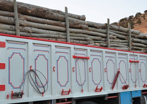 ۱۱۰ اصله الوار قاچاق جنگلی در اردبیل کشف شد