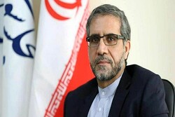 Iran-Saudi economic diplomacy should be strengthened: MP